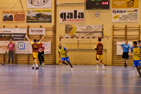 Handball