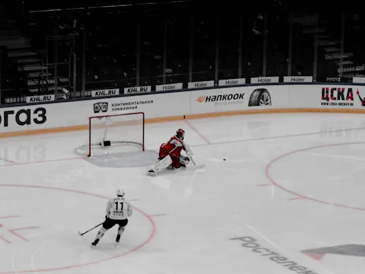 Ice Hockey in Leipzig