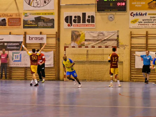 Handball in Leipzig